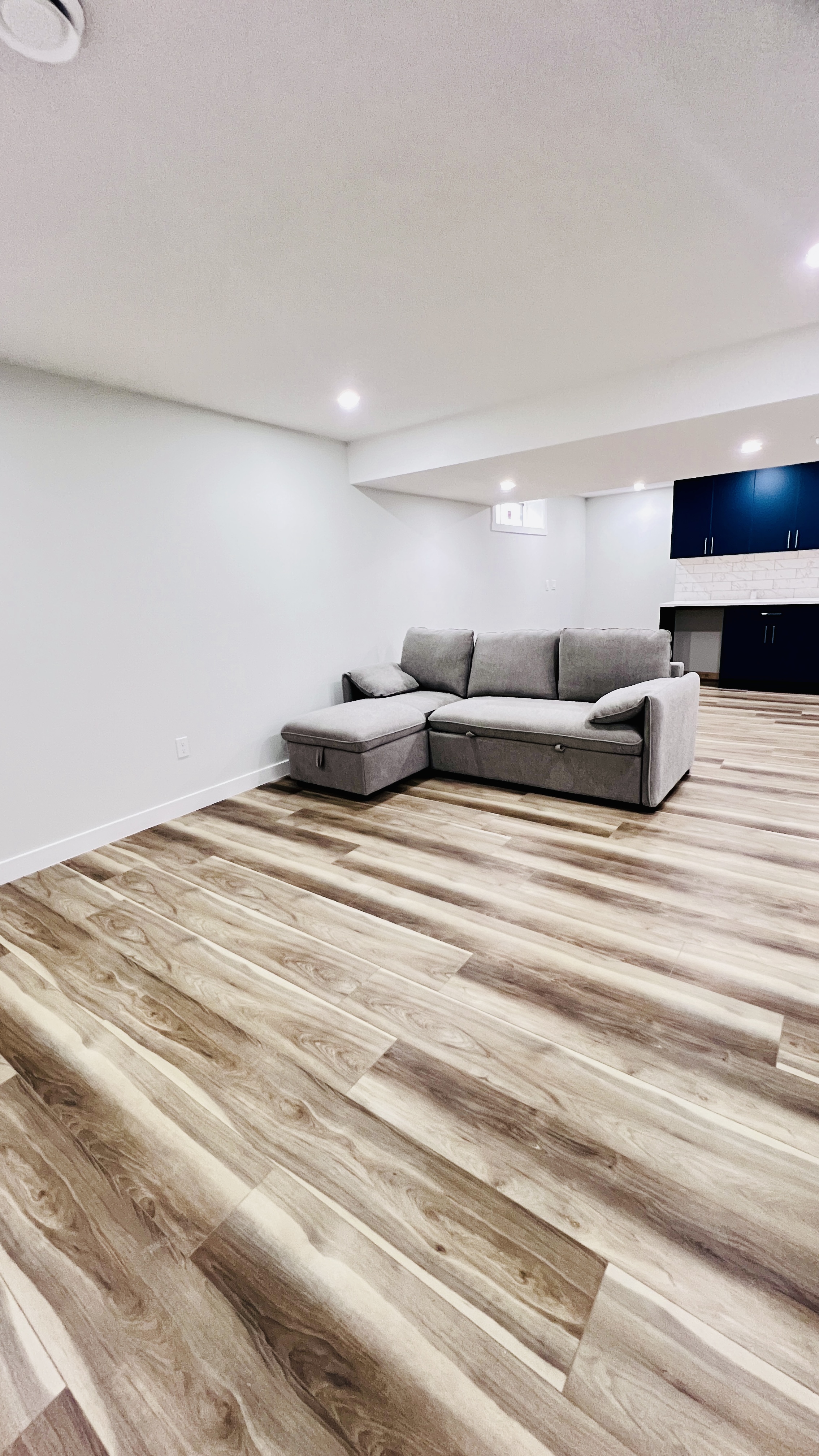 Basement Suite Alt